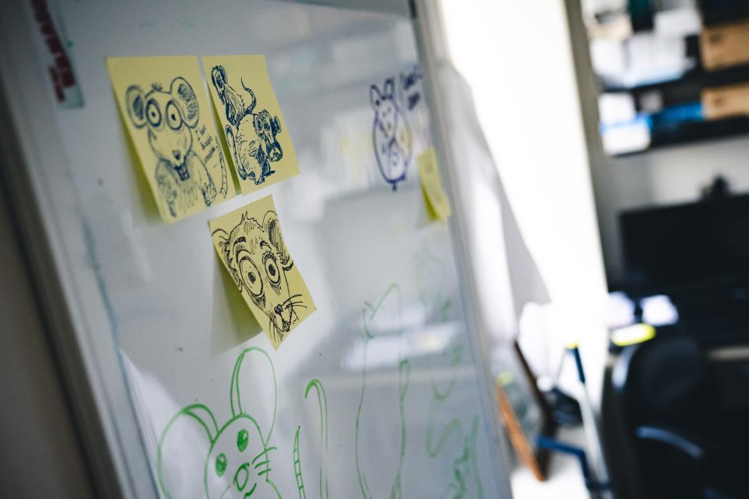 Mice drawings on three sticky notes on a white board