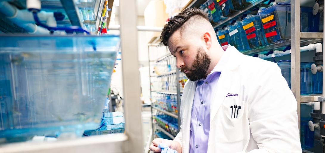 Alex Seaver looks at a fish tank in the Iovine Lab wearing a white lab coat.